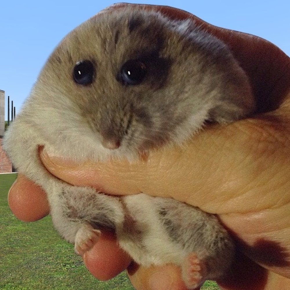 Meet your Posher, Langstyn